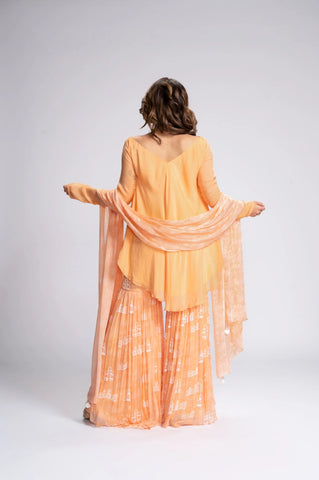 City Of Dreams Embroidered Sharara Set City Of Dreams Embroidered Sharara Set