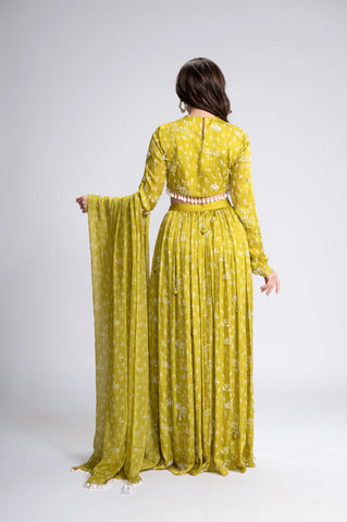 Out & About Embroidered Lehenga Set Out & About Embroidered Lehenga Set