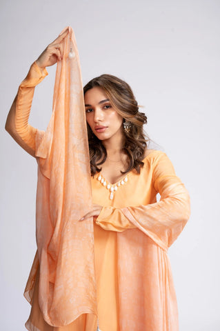 City Of Dreams Embroidered Sharara Set City Of Dreams Embroidered Sharara Set