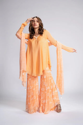City Of Dreams Embroidered Sharara Set City Of Dreams Embroidered Sharara Set