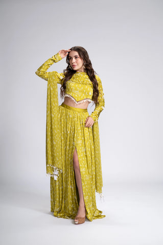 Out & About Embroidered Lehenga Set Out & About Embroidered Lehenga Set
