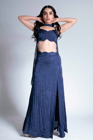 Bijlee Bijlee - Navy Blue Embroidered Lehenga Set Bijlee Bijlee - Navy Blue Embroidered Lehenga Set