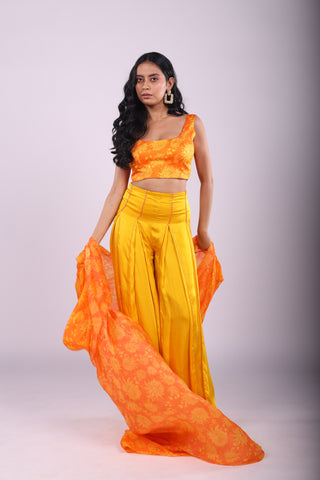 Genda Fool Sharara Set