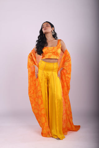 Genda Fool Sharara Set